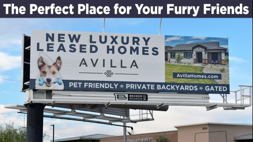 The Perfect Place for Your Furry Friends